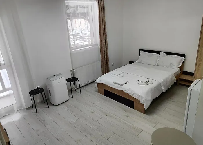 Max Night Dreams Boekarest